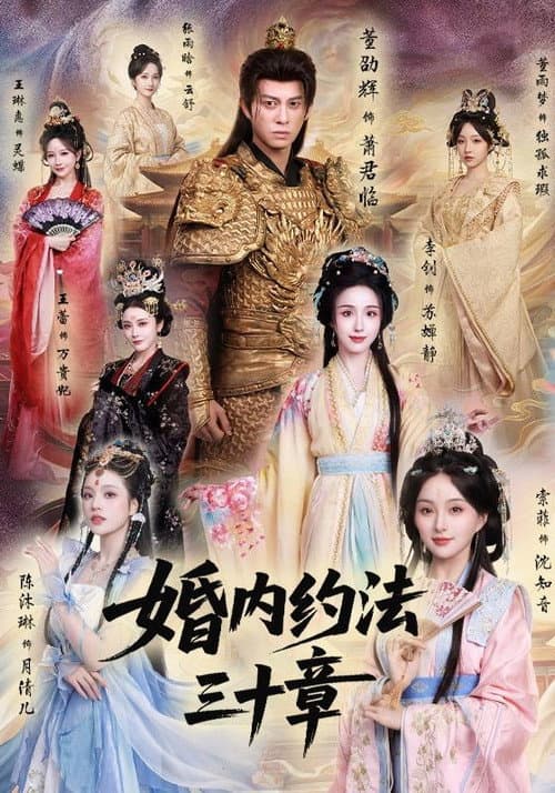 婚内约法三十章 afişi