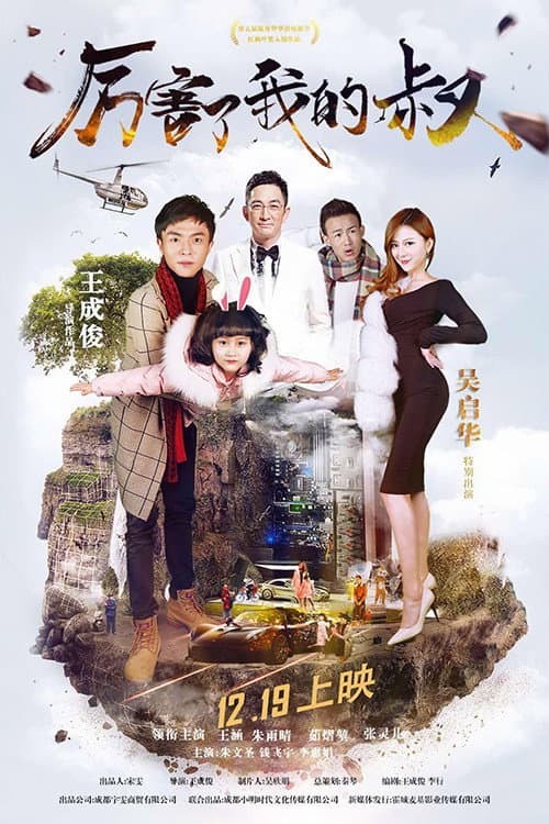 厉害了我的叔 afişi