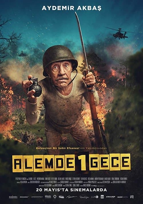 Alemde Bir Gece afişi