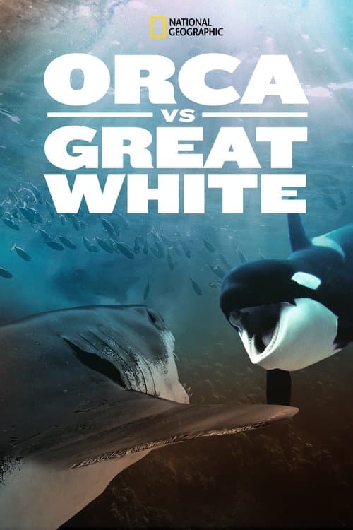 Orca Vs. Great White afişi