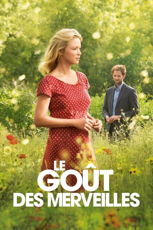 Le Goût des merveilles afişi