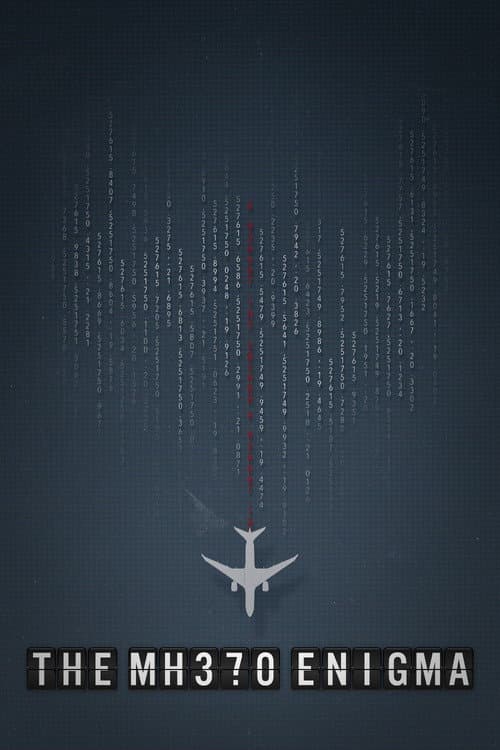 The MH370 Enigma afişi
