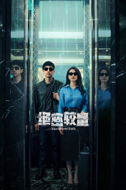 绝密较量 afişi