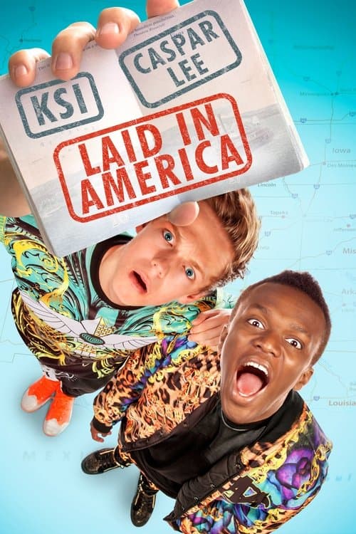 Laid in America afişi