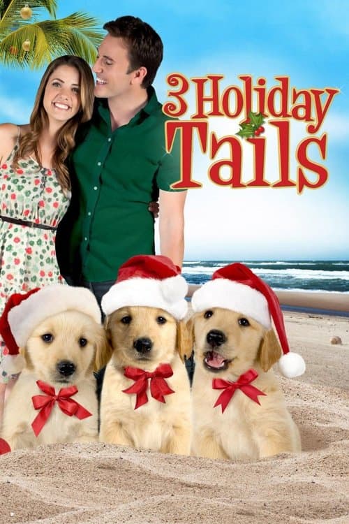 3 Holiday Tails afişi