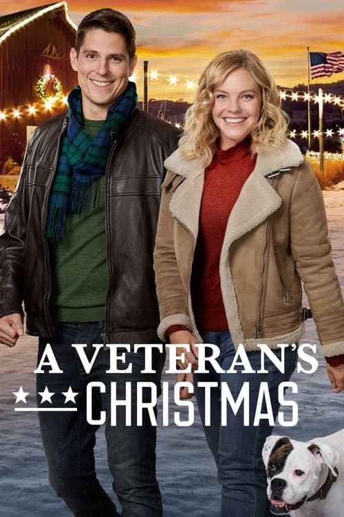 A Veteran's Christmas afişi