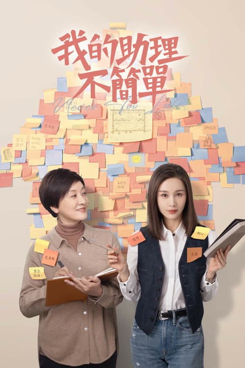 我的助理不简单 afişi