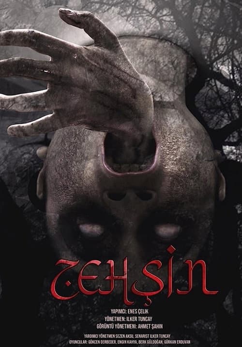 Zehşin Cin-i Musallat afişi