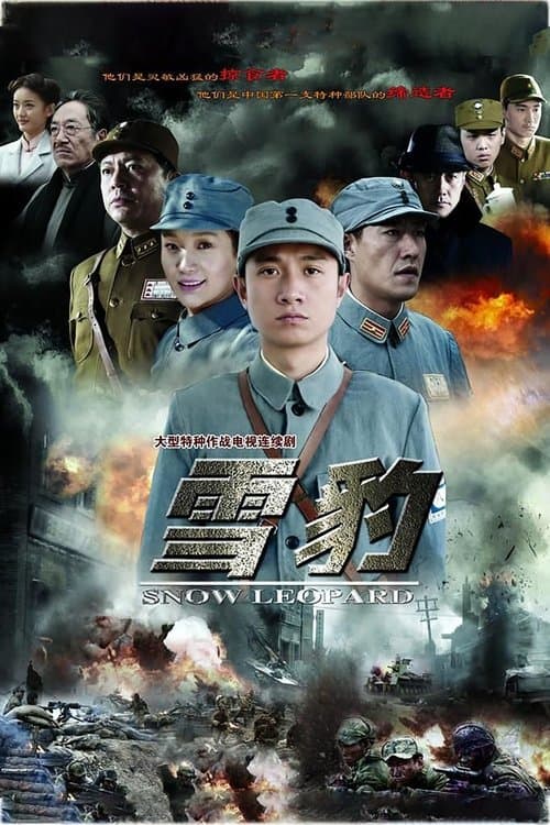 雪豹 afişi