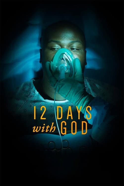 12 Days with God afişi