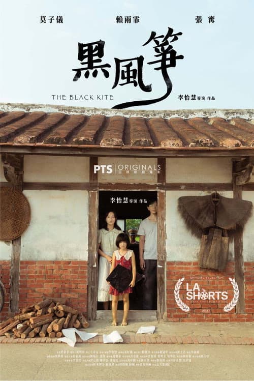 黑風箏 afişi