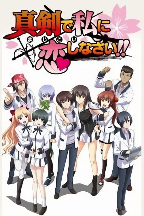 真剣で私に恋しなさい!! afişi