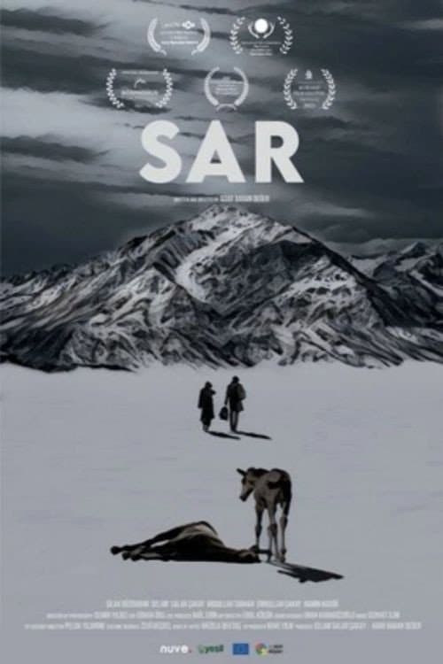Soğuk afişi