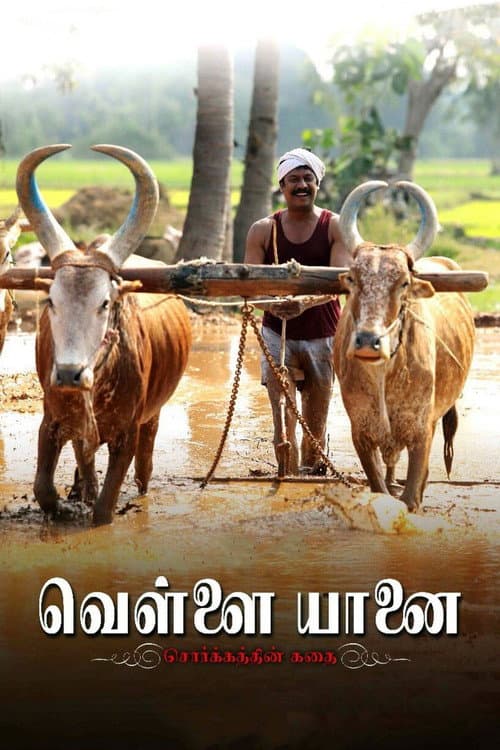 வெள்ளை யானை afişi