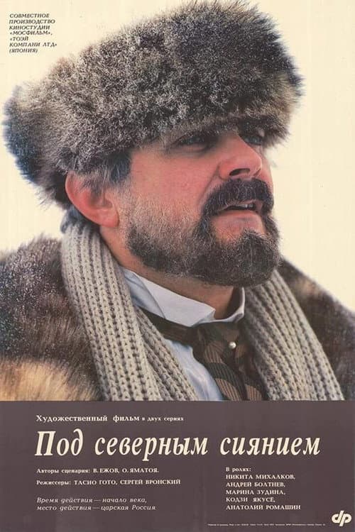 Под северным сиянием afişi