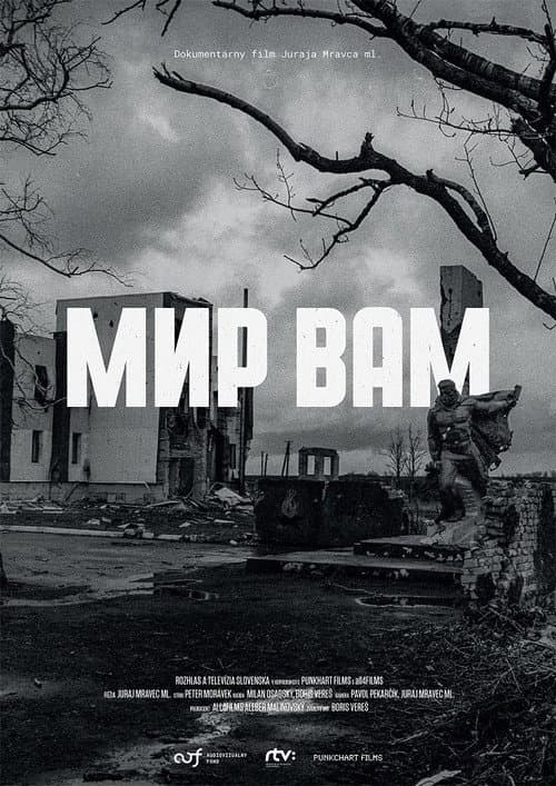 Mir Vam afişi