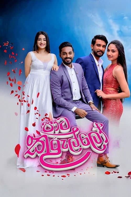 පාට කුරුල්ලෝ afişi
