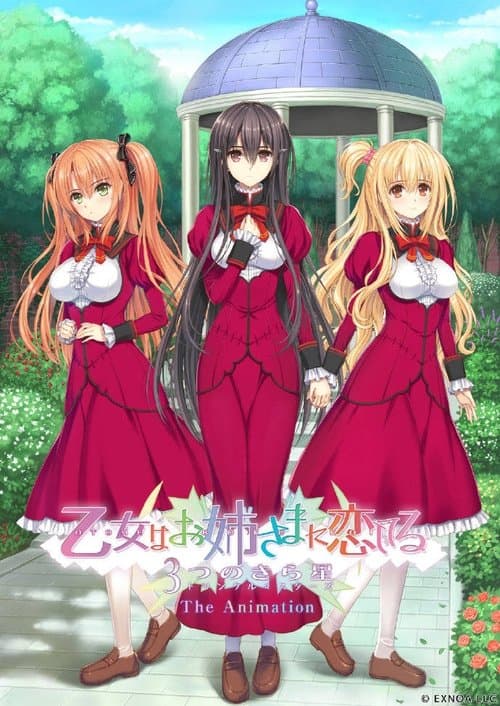 乙女はお姉さまに恋してる 3つのきら星The Animation afişi