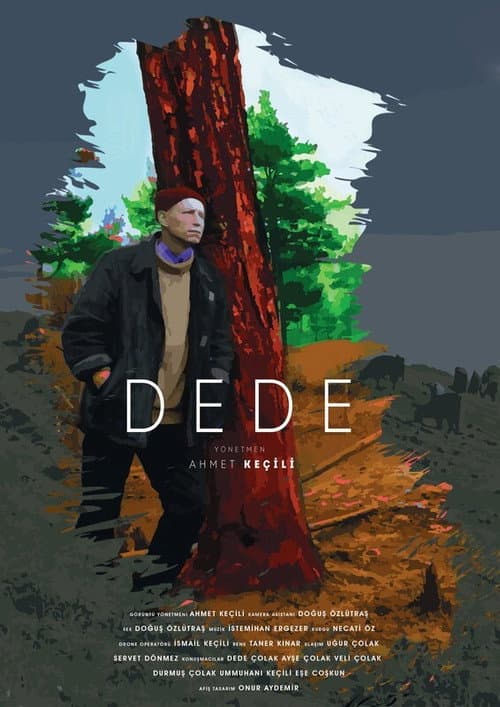 DEDE afişi