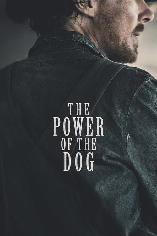 Köpeğin Pençesi afişi