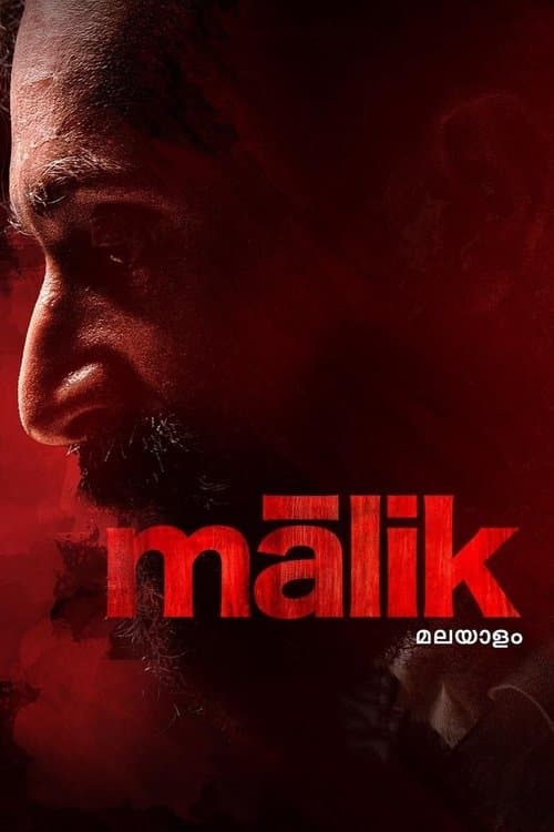 മാലിക് afişi