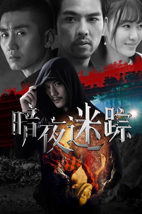 暗夜迷踪 afişi
