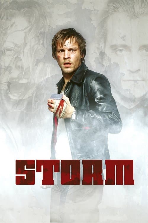 Storm afişi