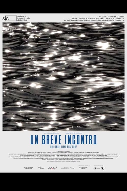 Un breve incontro afişi