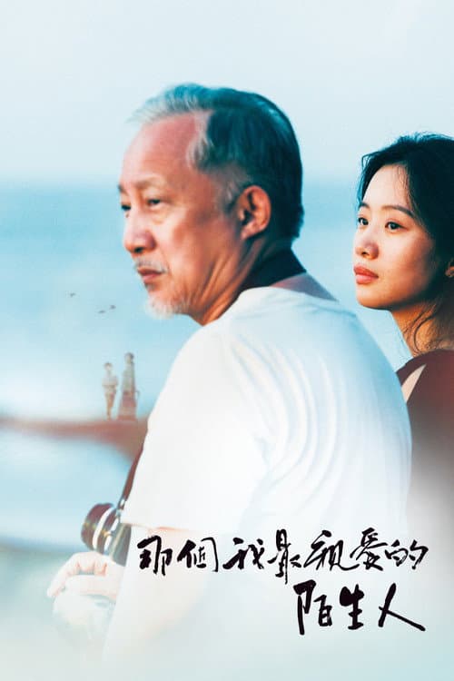 那個我最親愛的陌生人 afişi