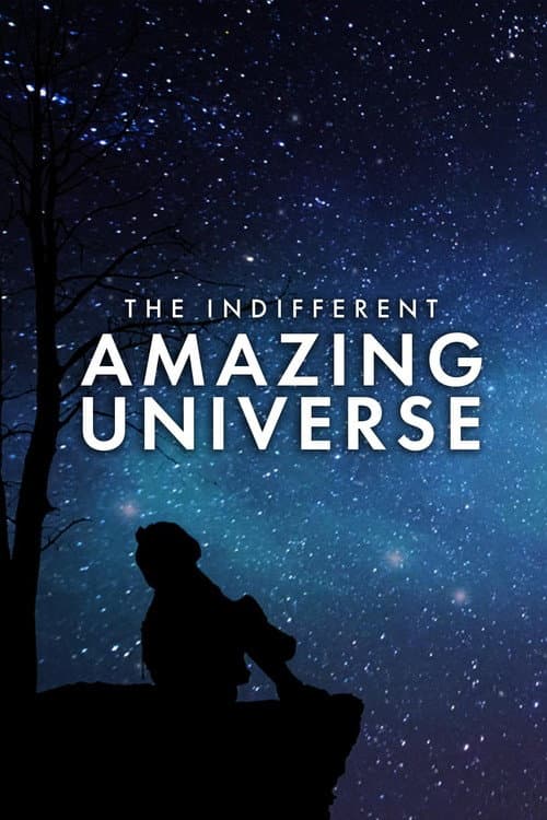 The Indifferent Amazing Universe afişi