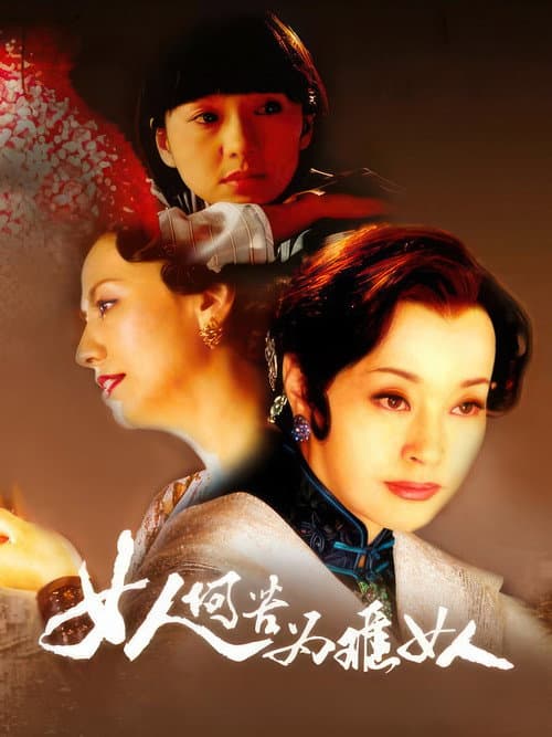 女人何苦为难女人 afişi