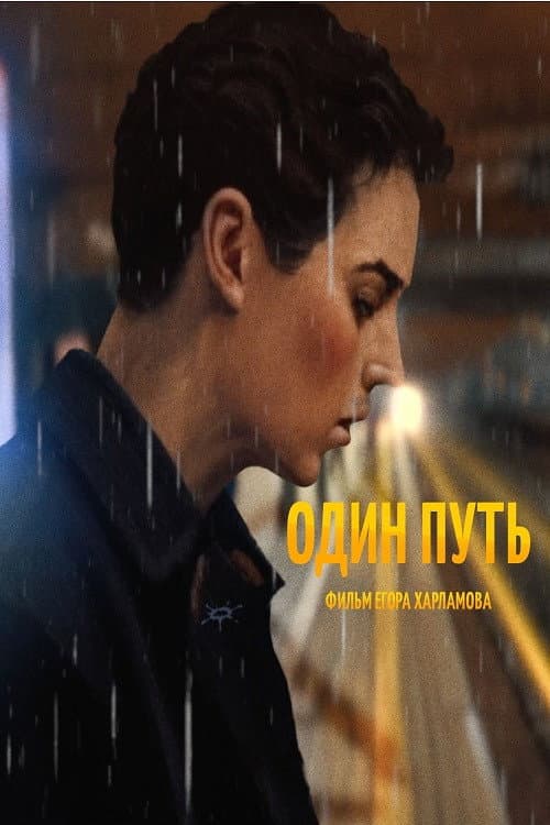 Один путь afişi