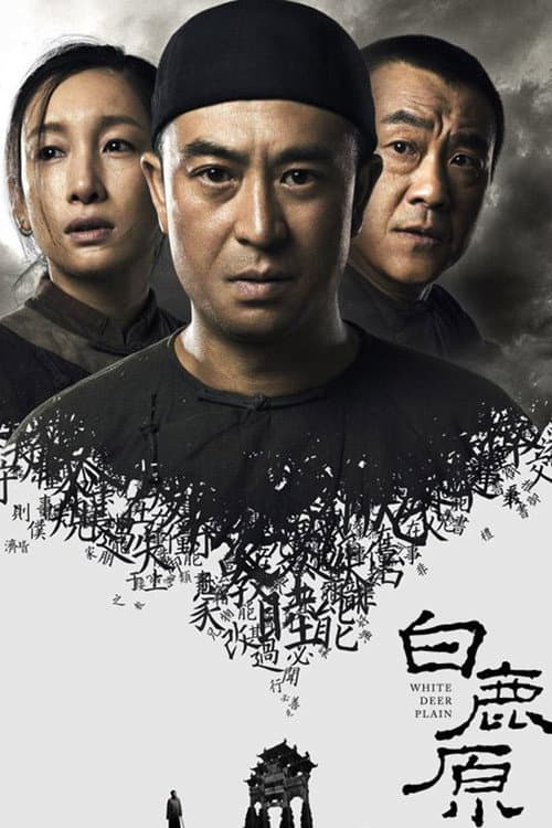 白鹿原 afişi