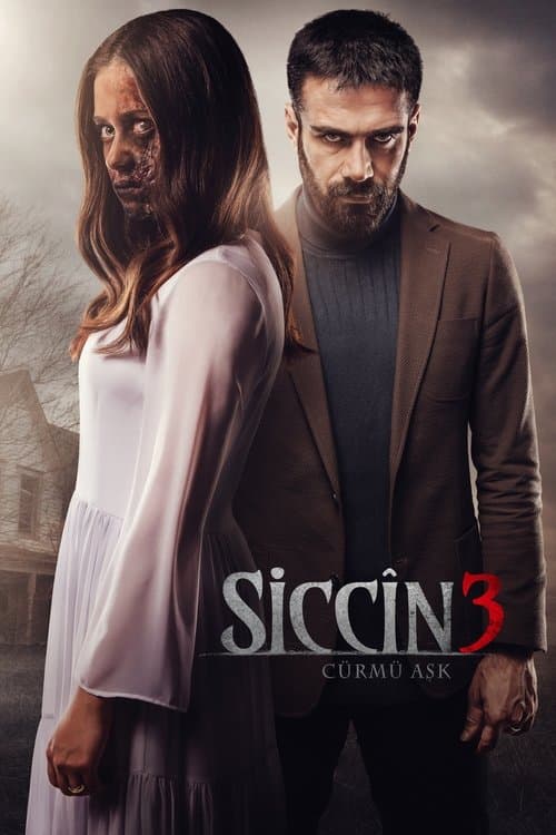 Siccîn 3: Cürmü Aşk afişi