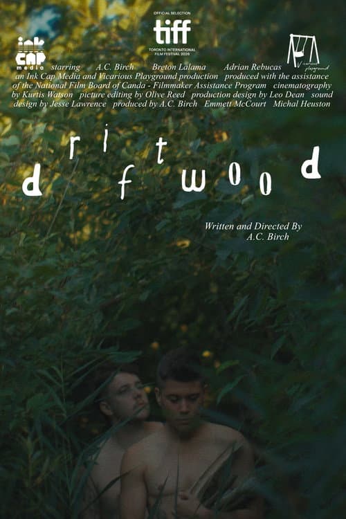 Driftwood afişi