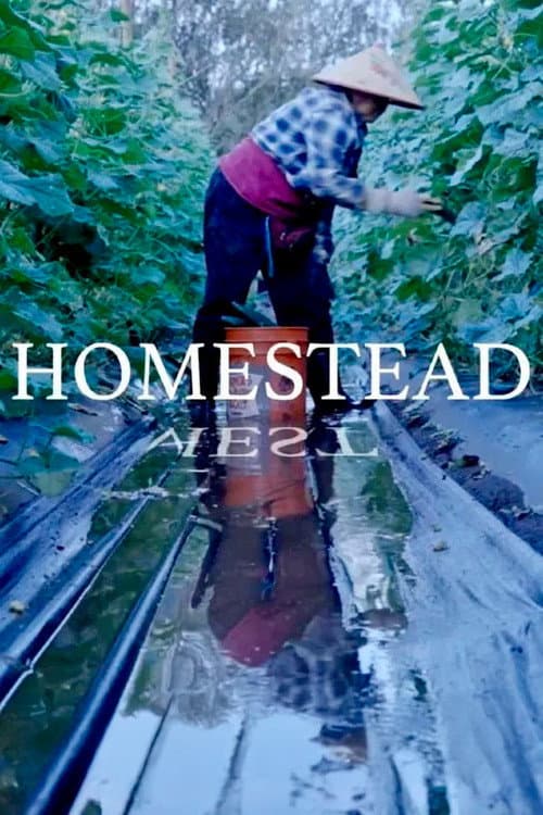 Homestead afişi