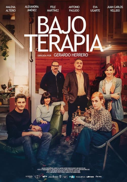 Bajo terapia afişi