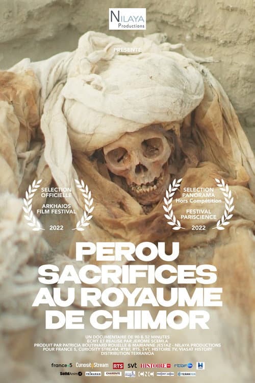 Pérou - Sacrifices au royaume de Chimor afişi