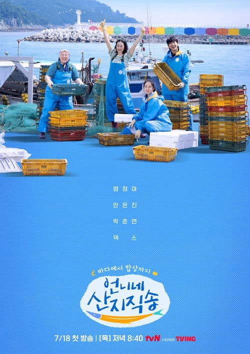 언니네 산지직송 afişi