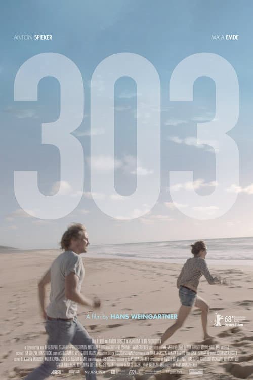 303 afişi