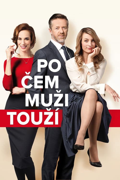 Po čem muži touží afişi
