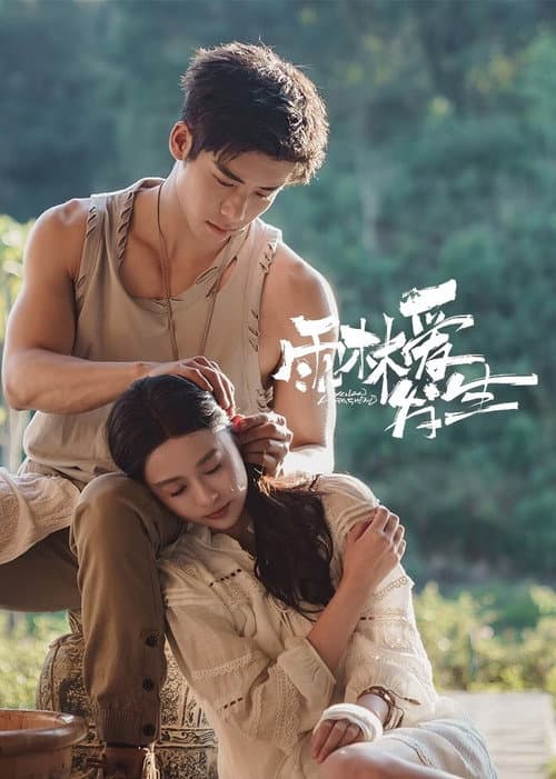 雨林爱发生 afişi