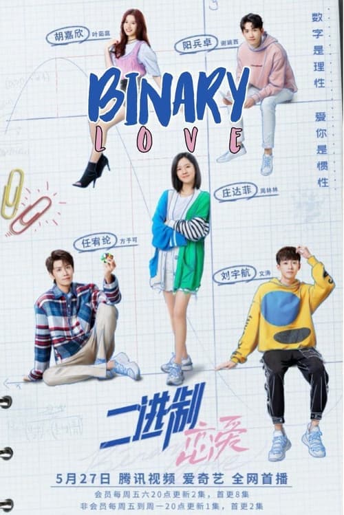 Binary Love afişi