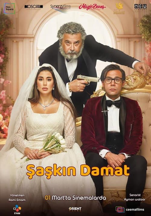 Şaşkın Damat afişi