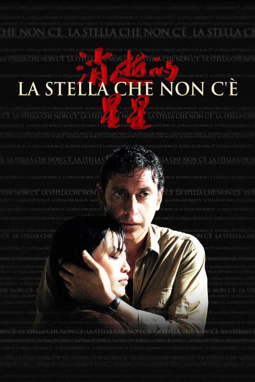 La stella che non c'è afişi