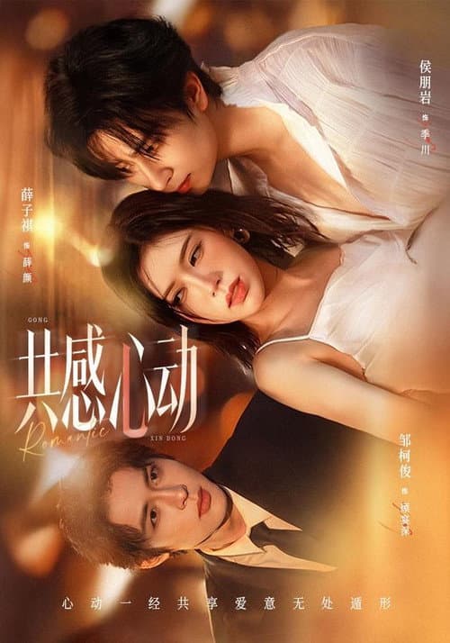 共感心动 afişi