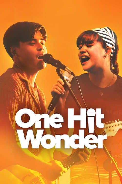 One Hit Wonder afişi