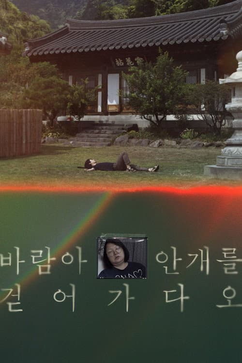 바람아 안개를 걷어가다오 afişi