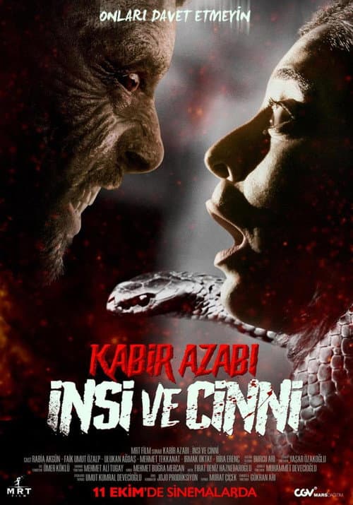 Kabir Azabı: İnsi ve Cinni afişi