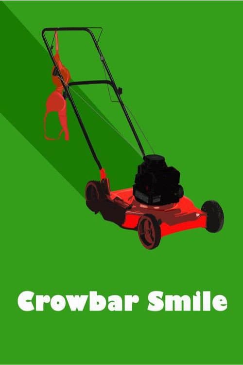 Crowbar Smile afişi